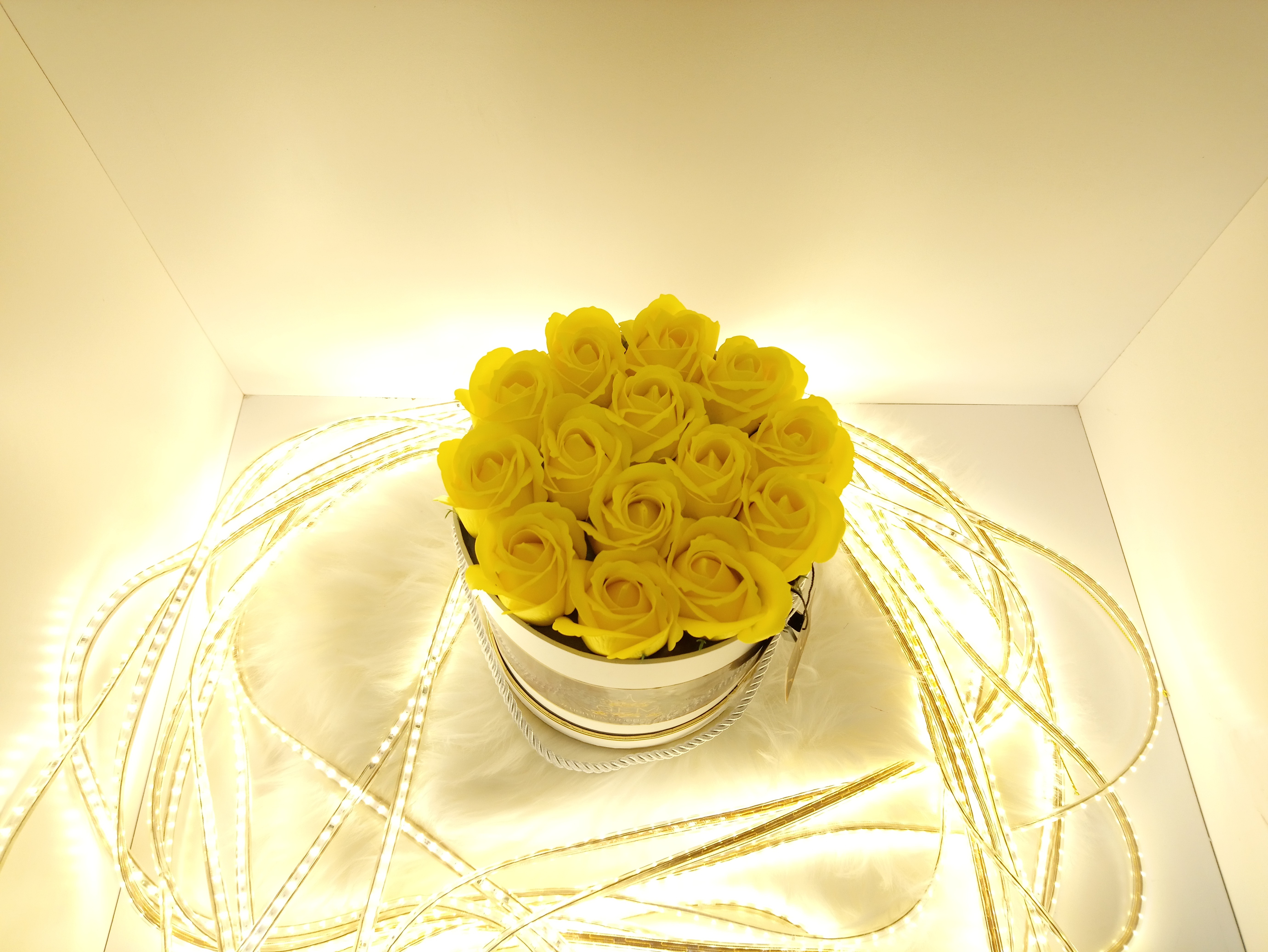 The Bright